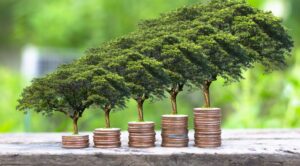 Economia sustentável: caminhos para um futuro verde 6 Leia mais sobre o artigo Economia sustentável: caminhos para um futuro verde