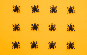 Como Dedetizar Percevejo: Guia Completo para Eliminar essa Praga Difícil 3 Dedetizar Percevejo